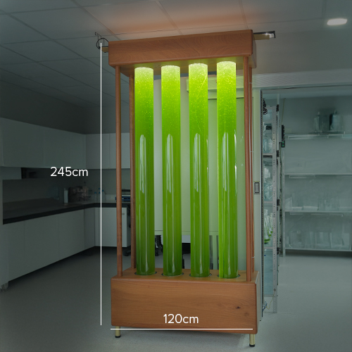 Kişiye Özel N.O.A.H.