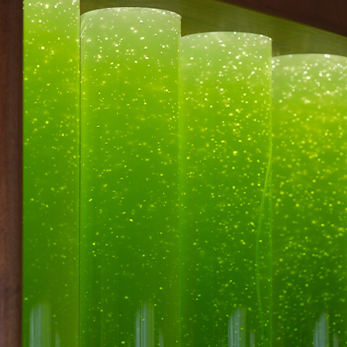 Kişiye Özel N.O.A.H. - Görsel 2