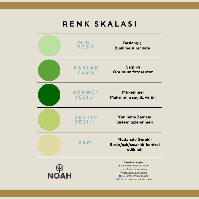 Orta Boy Model - Görsel 4