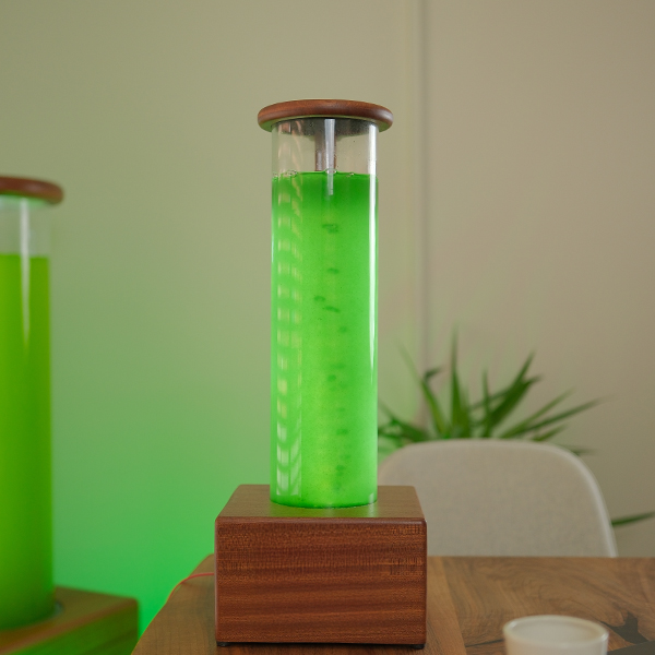 Masaüstü Model - Görsel 2